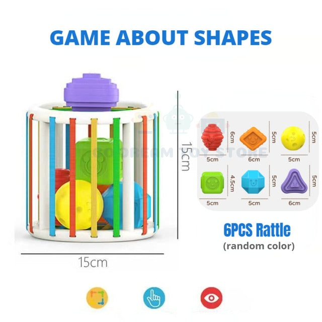 Colorful Shape Blocks Sorting Game - Signature SJ